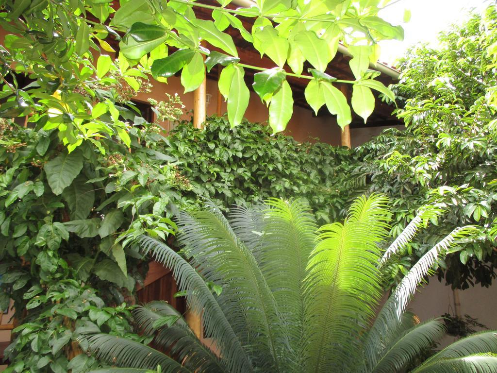 Pousada Casa De Nomades Vale do Capao Ngoại thất bức ảnh